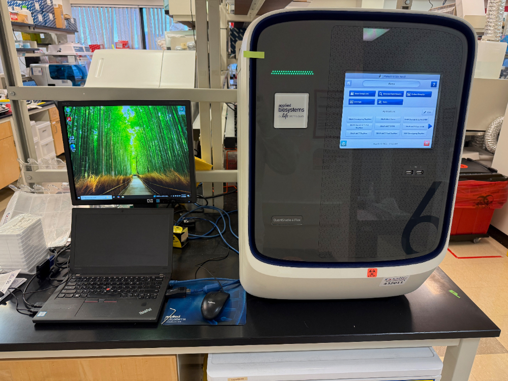 Image of Applied Biosystems QuantStudio 6 Flex Real-Time PCR System